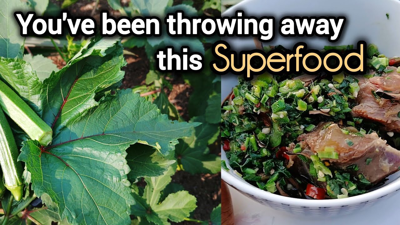 You will never Waste Okra Leaves again after watching this