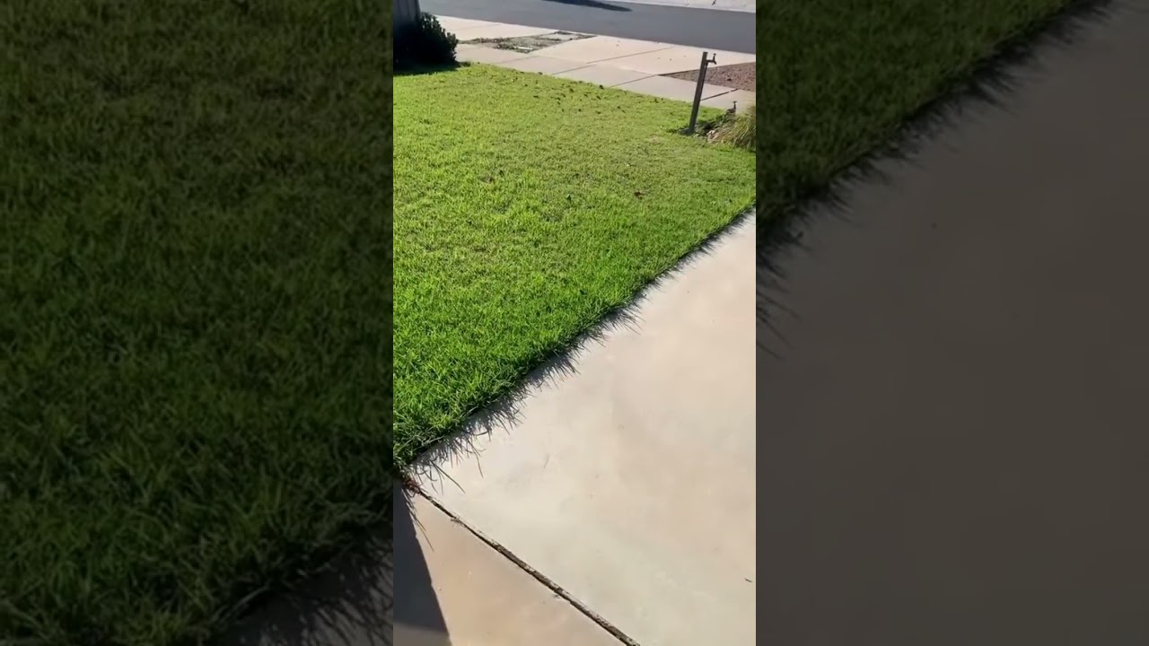 A fresh cut for a fresh look! ​ 📞 Call 131 546 get a free quote! ​ #JimsMowing #LawnCare