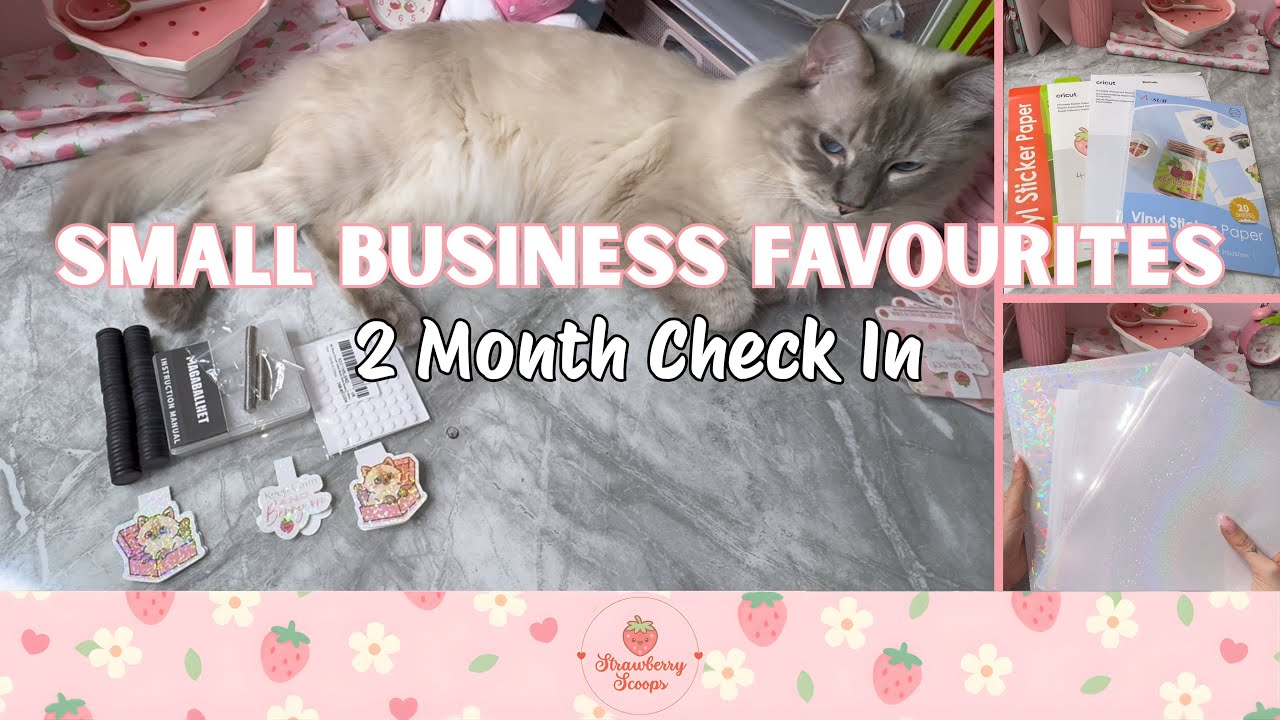 Small Business Favourites  | 2 Month Check In