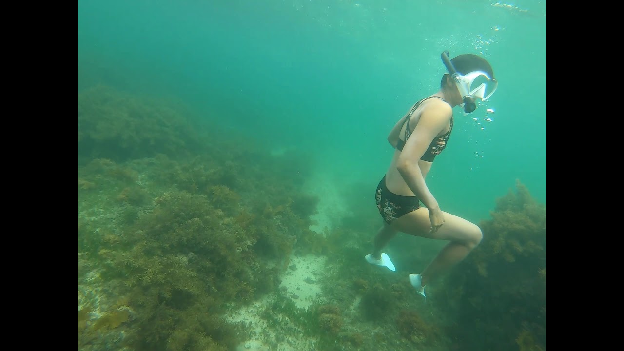Kurnell Snorkelling with Sydney Snorkelling Meetup
