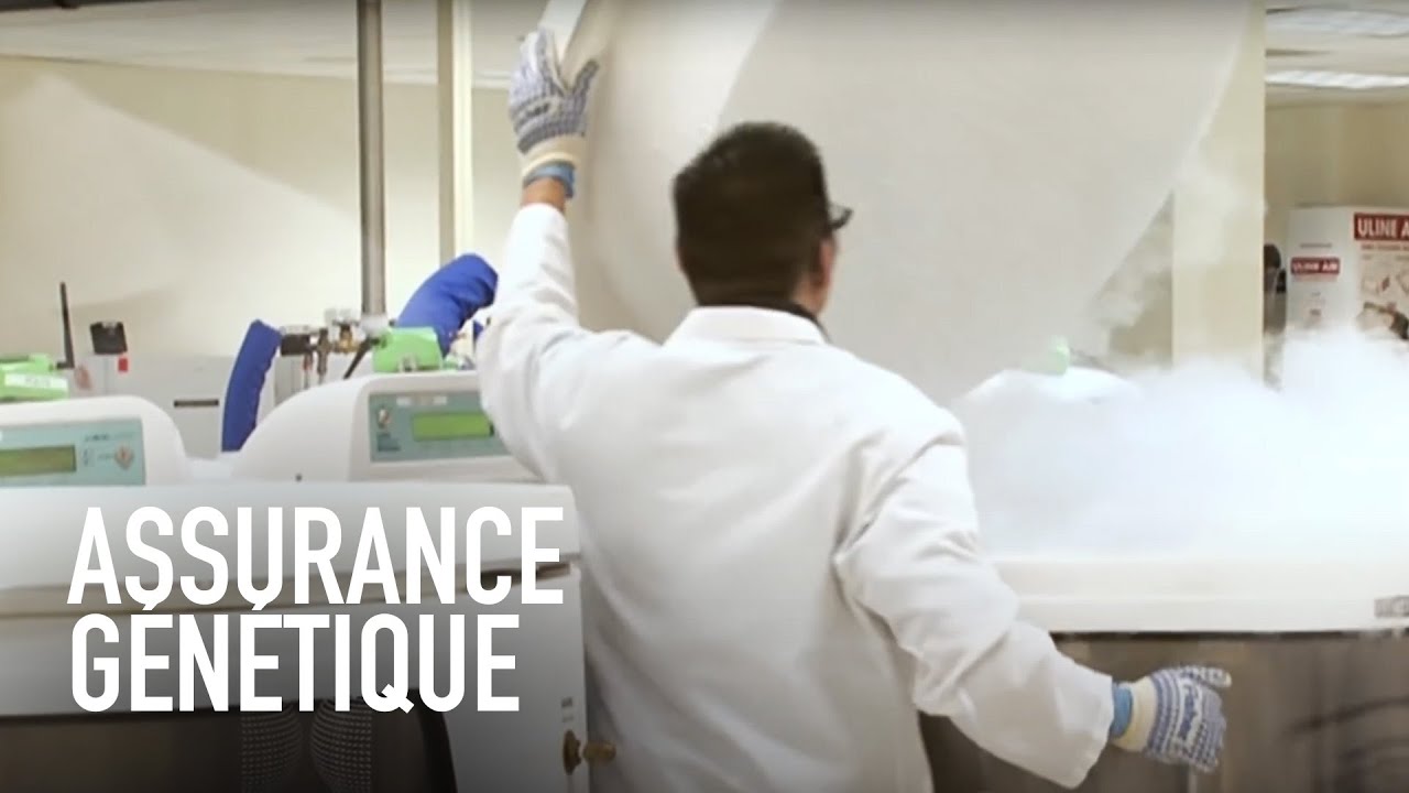 Business de l'immortalité : 300 000 $ pour rester en vie