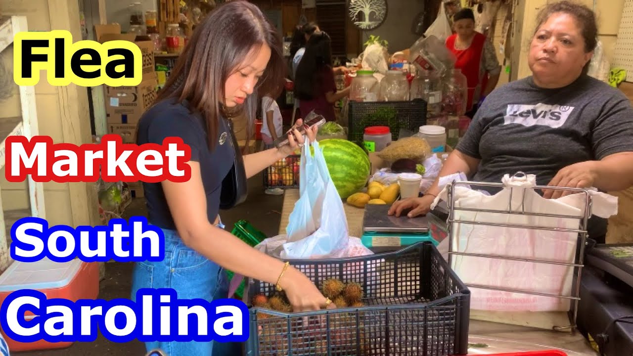 ដើរមើលផ្សារមេឃ នៅ South Carolina. 