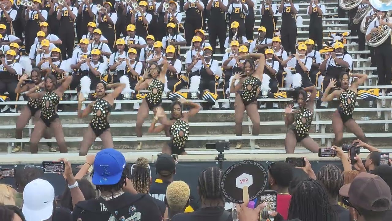 ASU Stingettes 2024 (Homecoming) - Bye Bye Bye (FAMU)