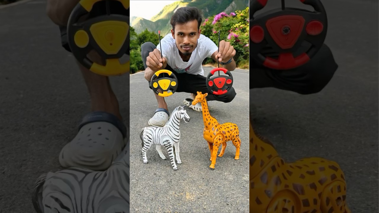 2 Ta RC Giraffe and Remote Wala Zebra 🦓 Deko 😛