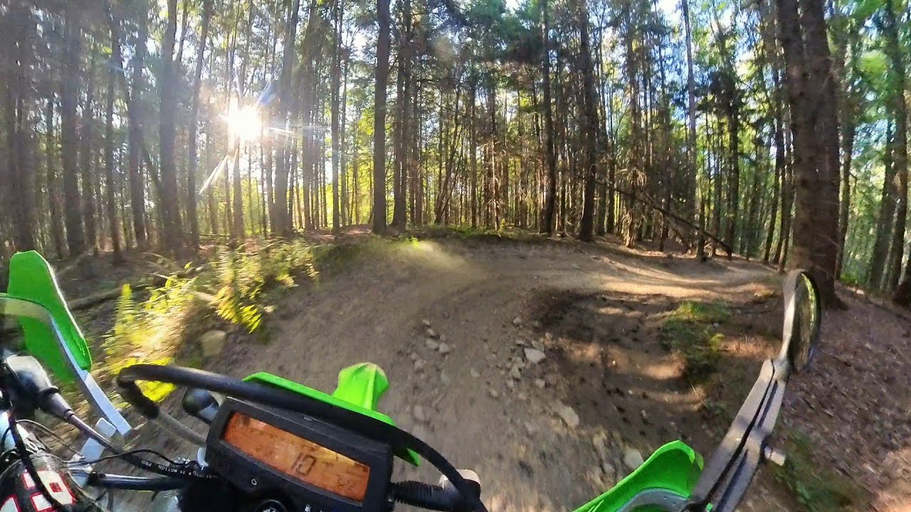 2025-08-15 - Allegheny National Forest - Penoke Loop (Part 2 of 2)