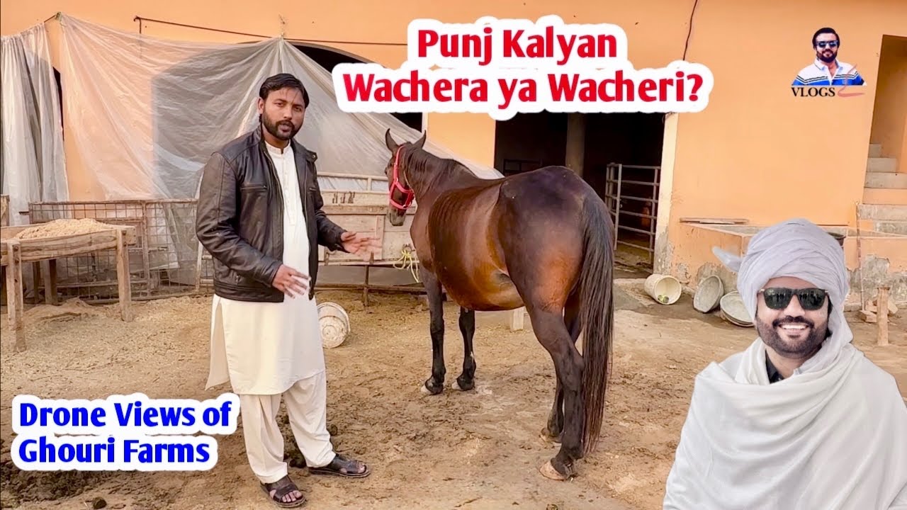 Kajal ka Bacha: Punj Kalyan Wachera ya Wacheri ? || Kajal Delivery Update 