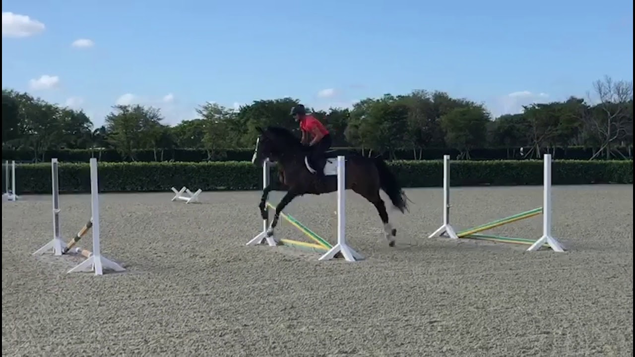 At Home With Glenbeigh Farm | Bounce Exercises | Show Jumping Training Tips