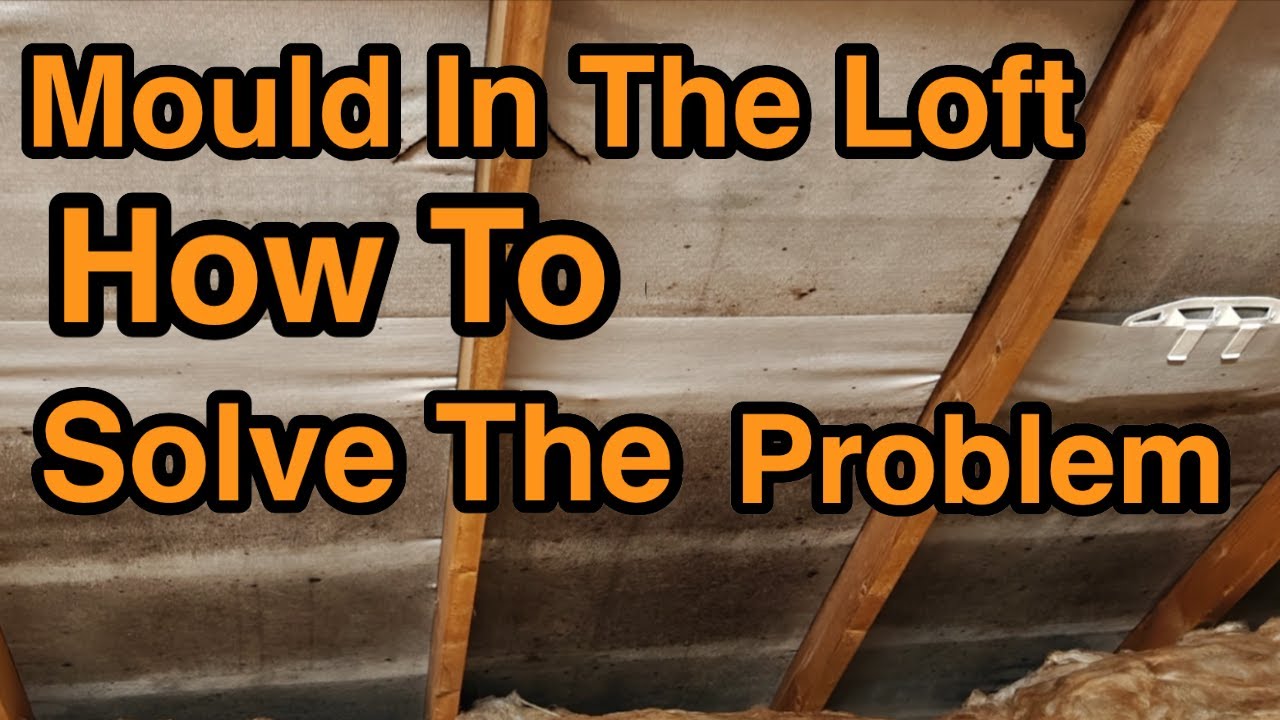 Mouldy loft space. How to solve the problem
