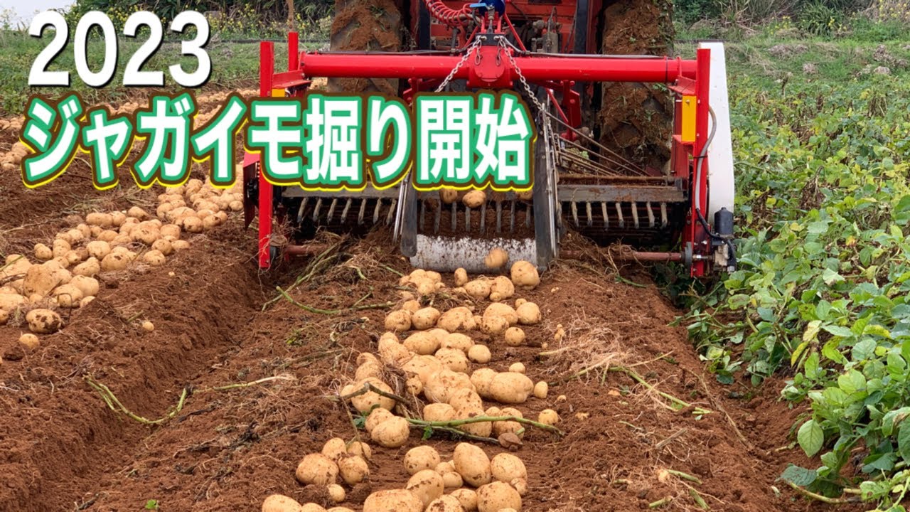 2023じゃがいも掘り開始　掘取機編