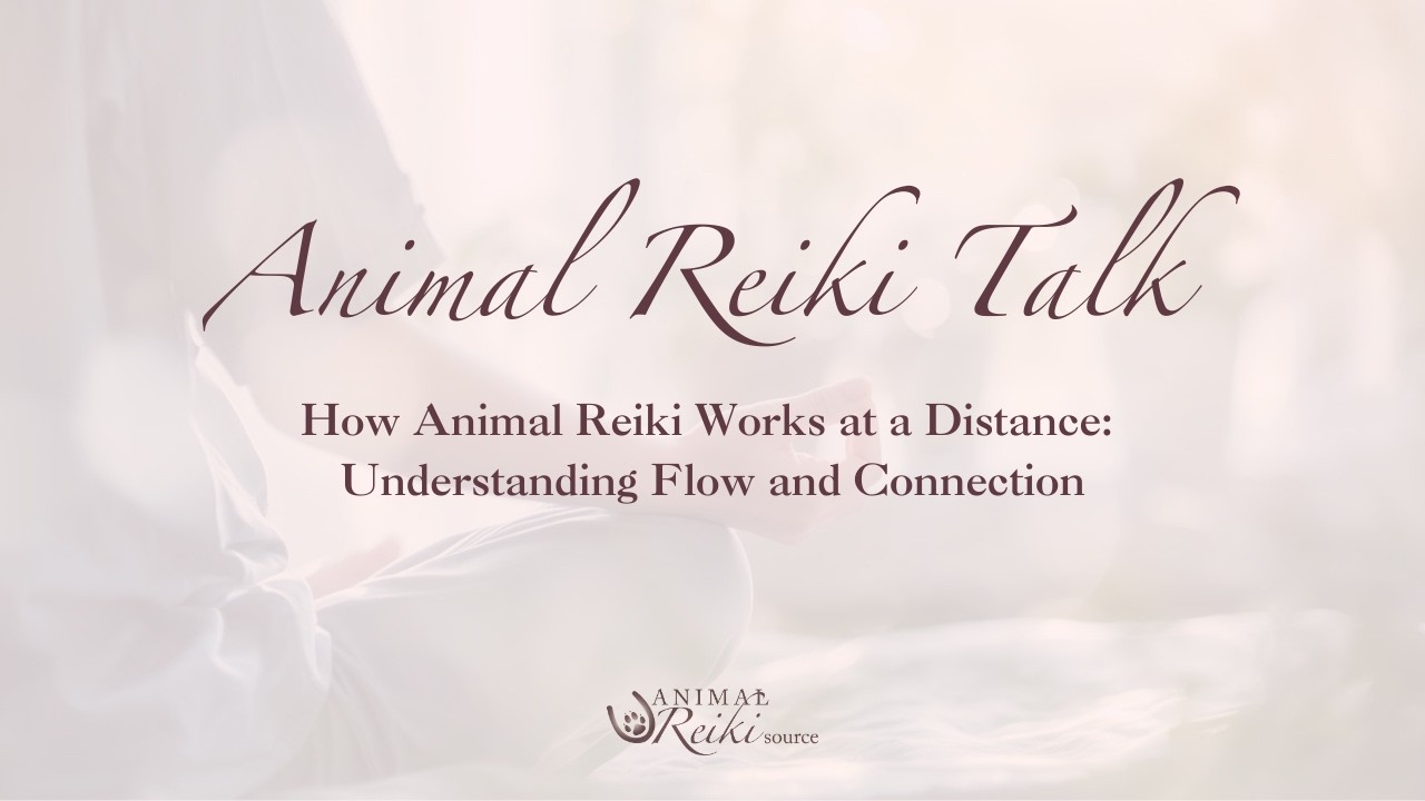 How Animal Reiki Works at a Distance | Animal Reiki Talk