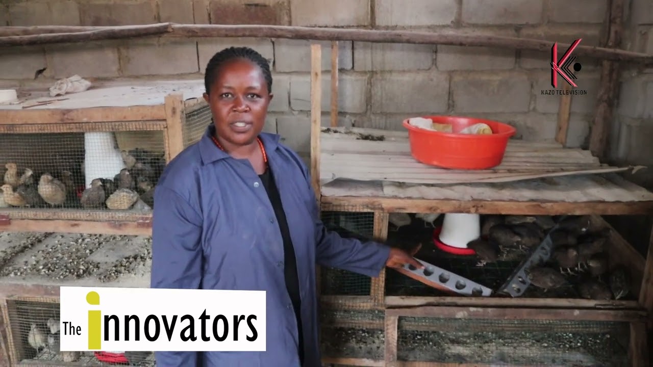 How to use the smallest space to farm. Quail bird farming in Uganda.