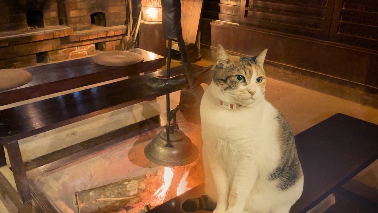 I Stayed at a 170-Year-Old Japanese Hot Spring Inn Where Cats Live 🐈 | Onsen retreat