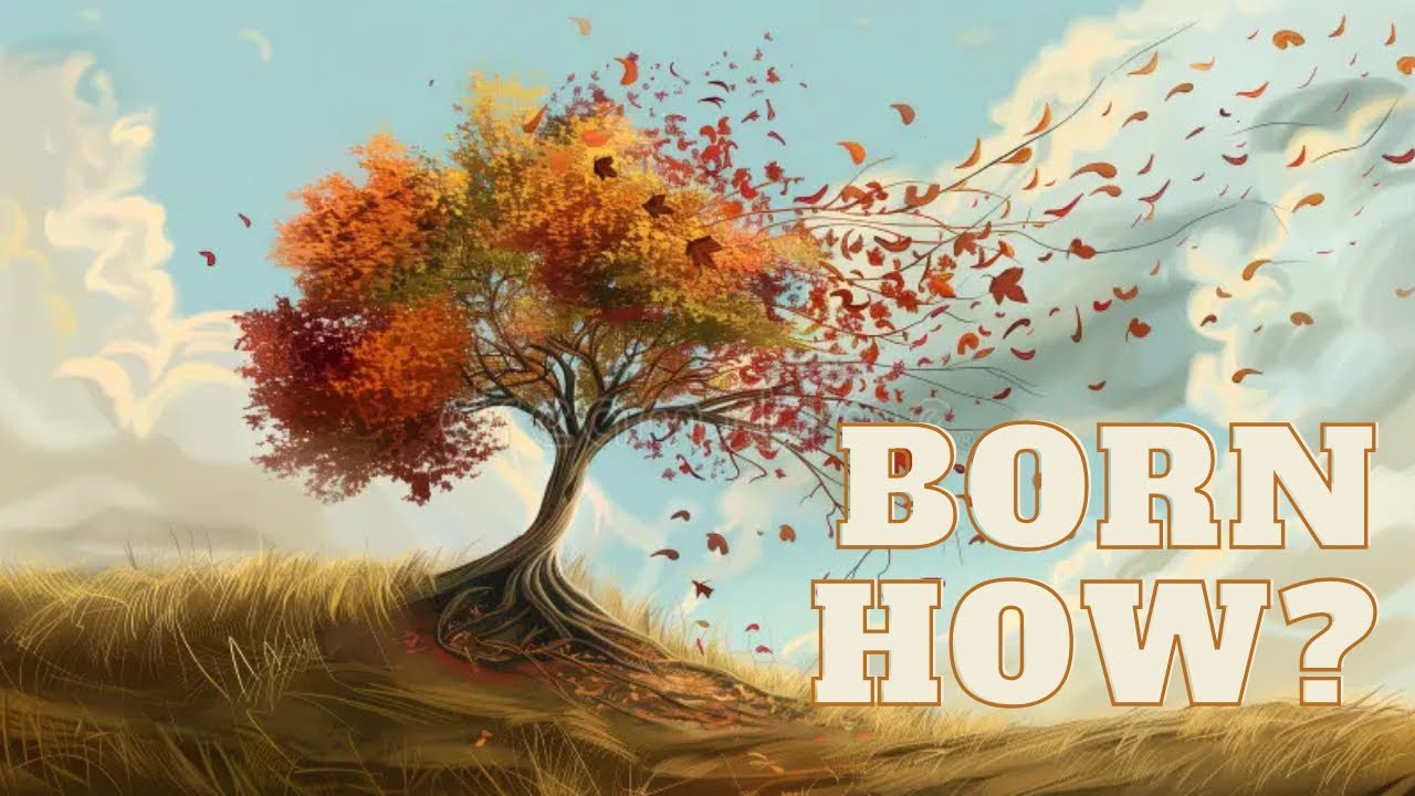 Born How?