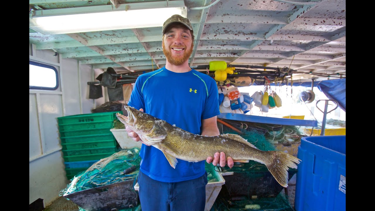Todays Catch Port Dover