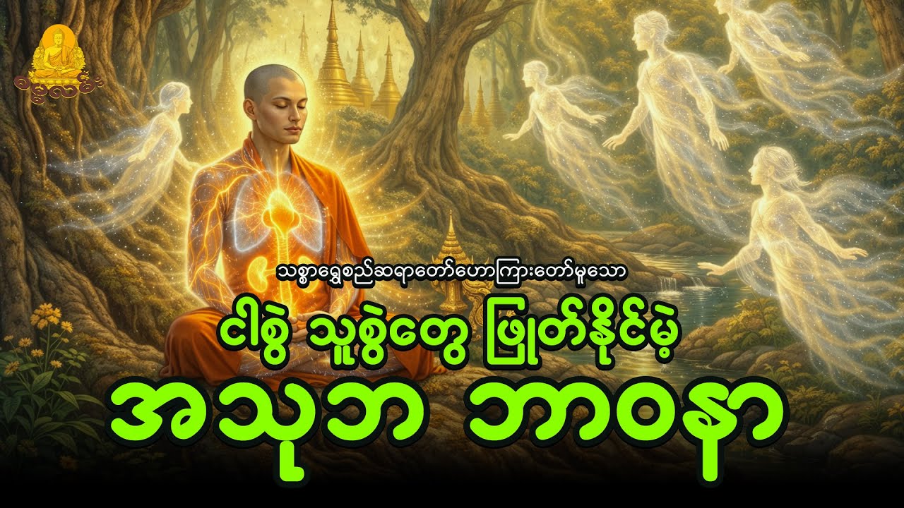 ငါစွဲသူစွဲတွေဖြုတ်နိုင်မဲ့  အသုဘဘာဝနာ - သစ္စာရွှေစည်ဆရာတော်