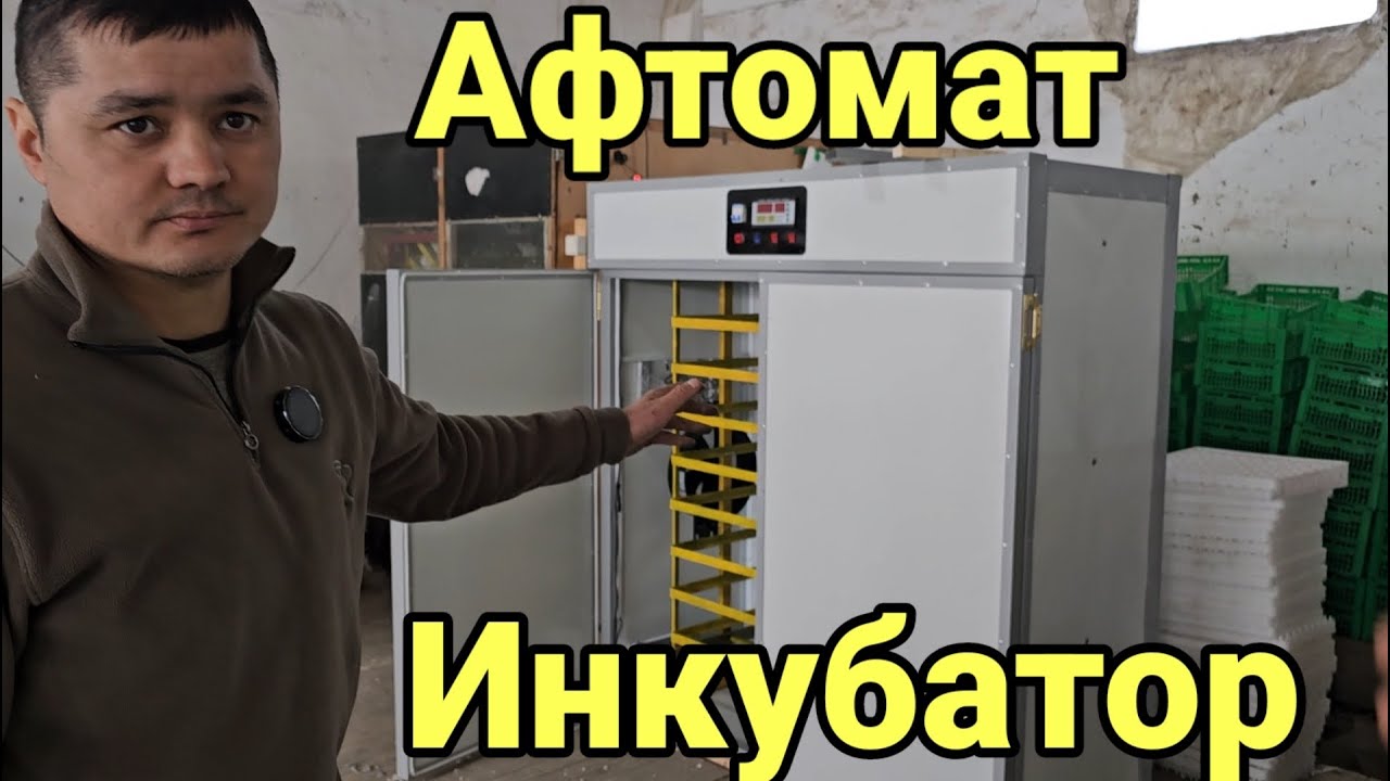 Мана афтомат инкубаторлар ясаб биришади