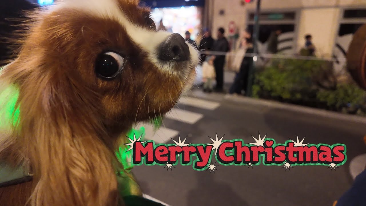 Merry Christmas from the Vanilla Channel 🎄