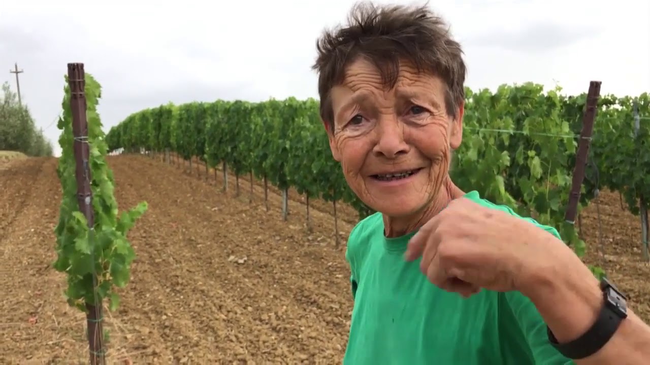 Poderi Sanguineto, Chapter 2 WInemaker Stories