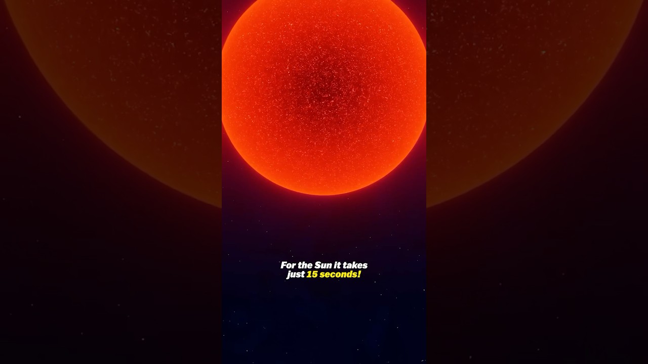The Biggest Star in The Universe