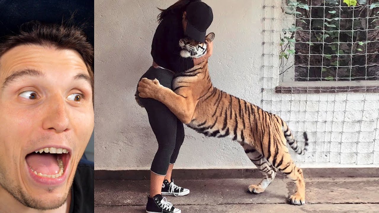 Paluten REAGIERT auf diese Tiere werden nach Jahren wieder mit ihren Besitzern vereint!