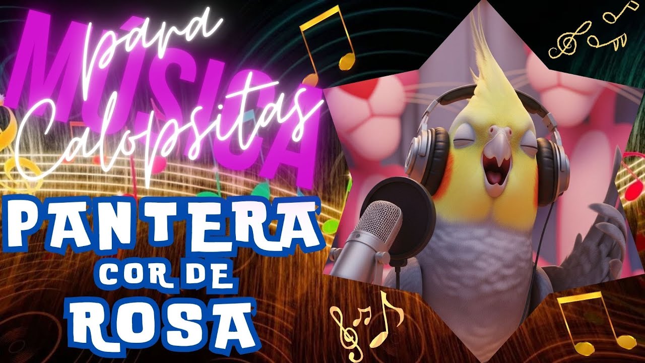 🎵 CALOPSITA CANTANDO PANTERA COR DE ROSA CANTO DE CALOPSITAS ASSOBIO PARA CALOPSITA #youtube