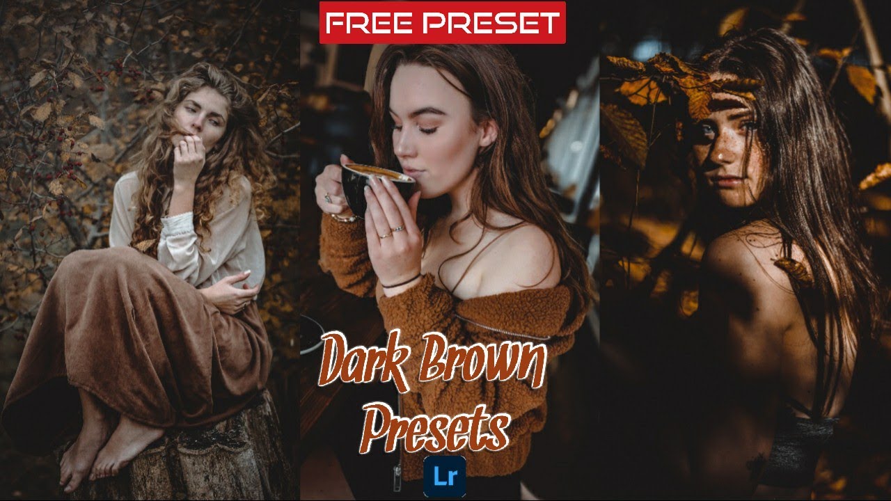 Lightroom Mobile Presets - Dark Brown Tone - Free Preset