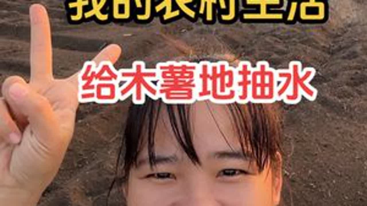 今天跟我猪肉佬抽水给木薯地，天气干旱，地里的农作物都不长哦#我的乡村生活 #我的农村生活 #木薯 #农民不易