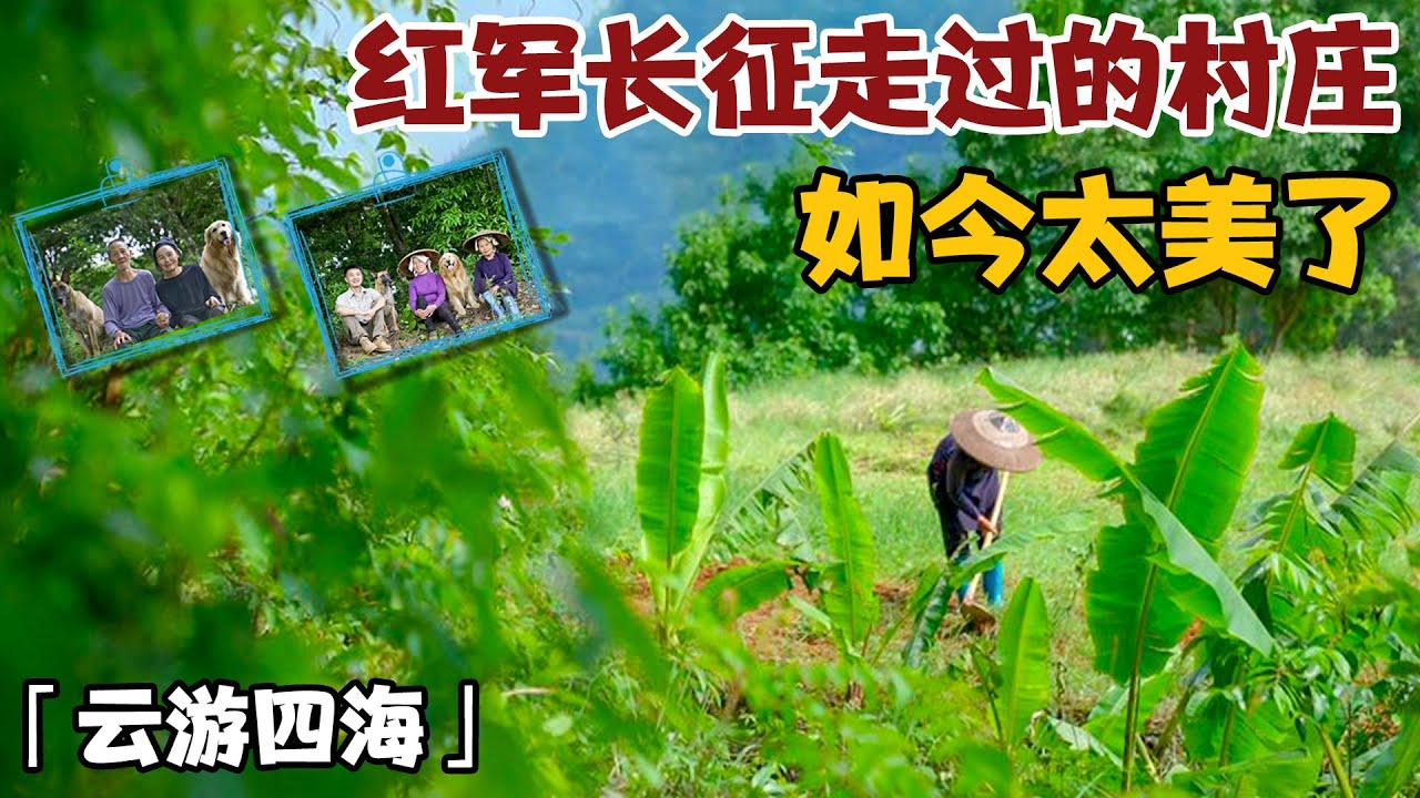 「云游四海」工农红军长征走过的村庄，这样的田园风景，太美了！【小白的奇幻旅行】