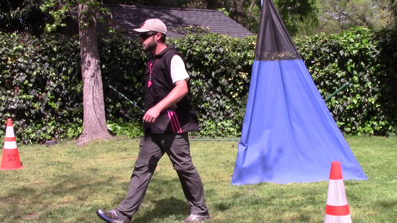 French Ring Level 1 Walk Through