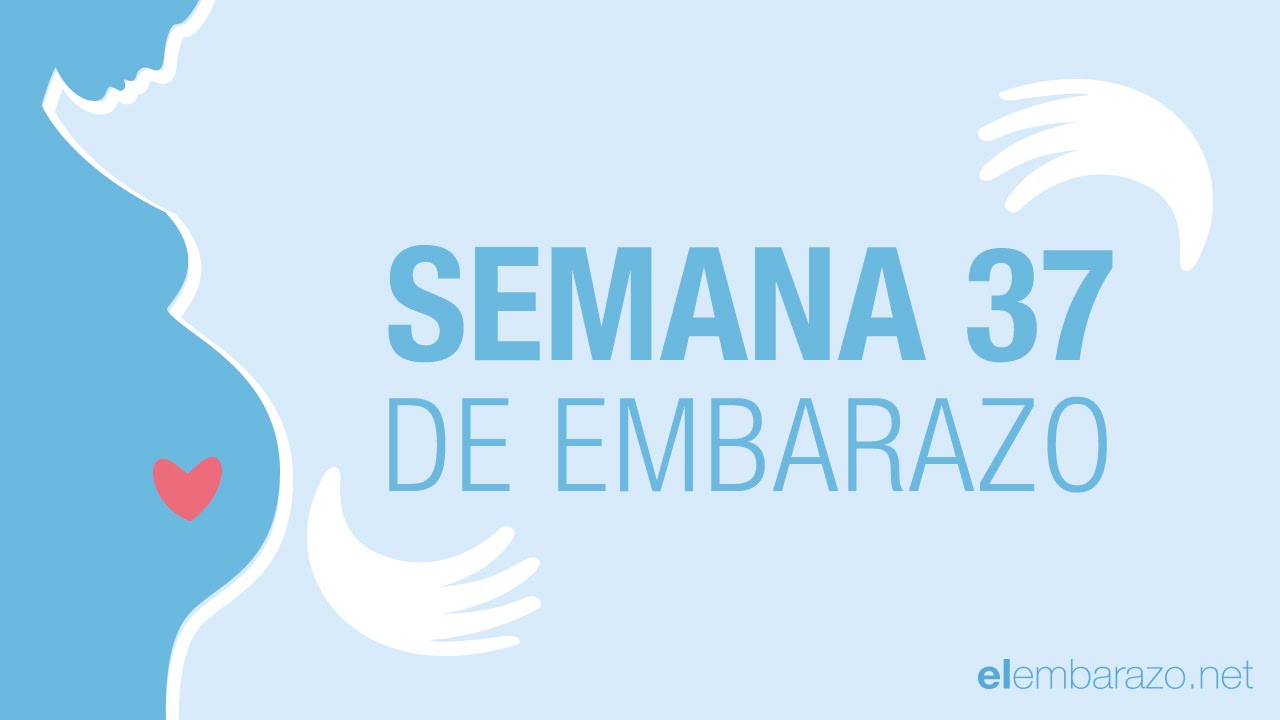 Semana 37 de embarazo | 37 semanas de embarazo | El embarazo semana a semana