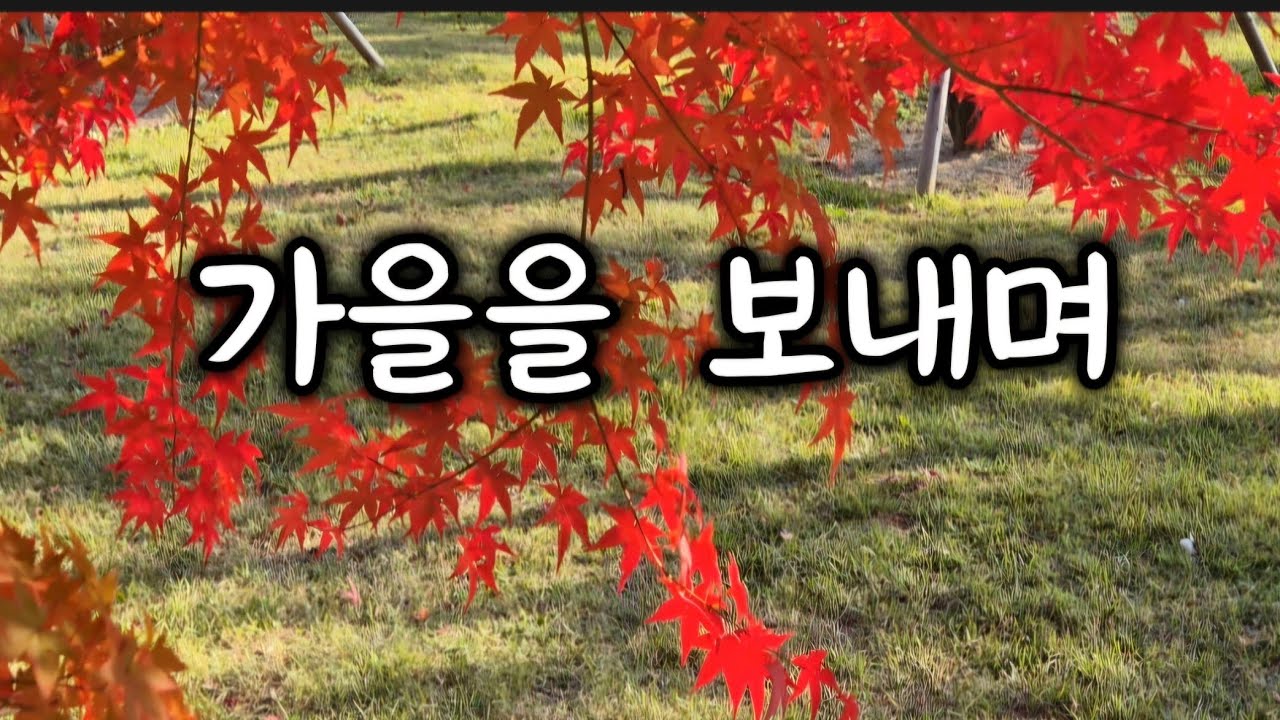 가을을 떠나보내며 #Bidding farewell to autumn