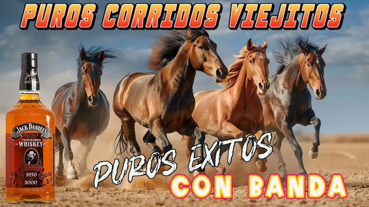 Puros Corridos Viejitos con Banda | Mix Bien Perrón