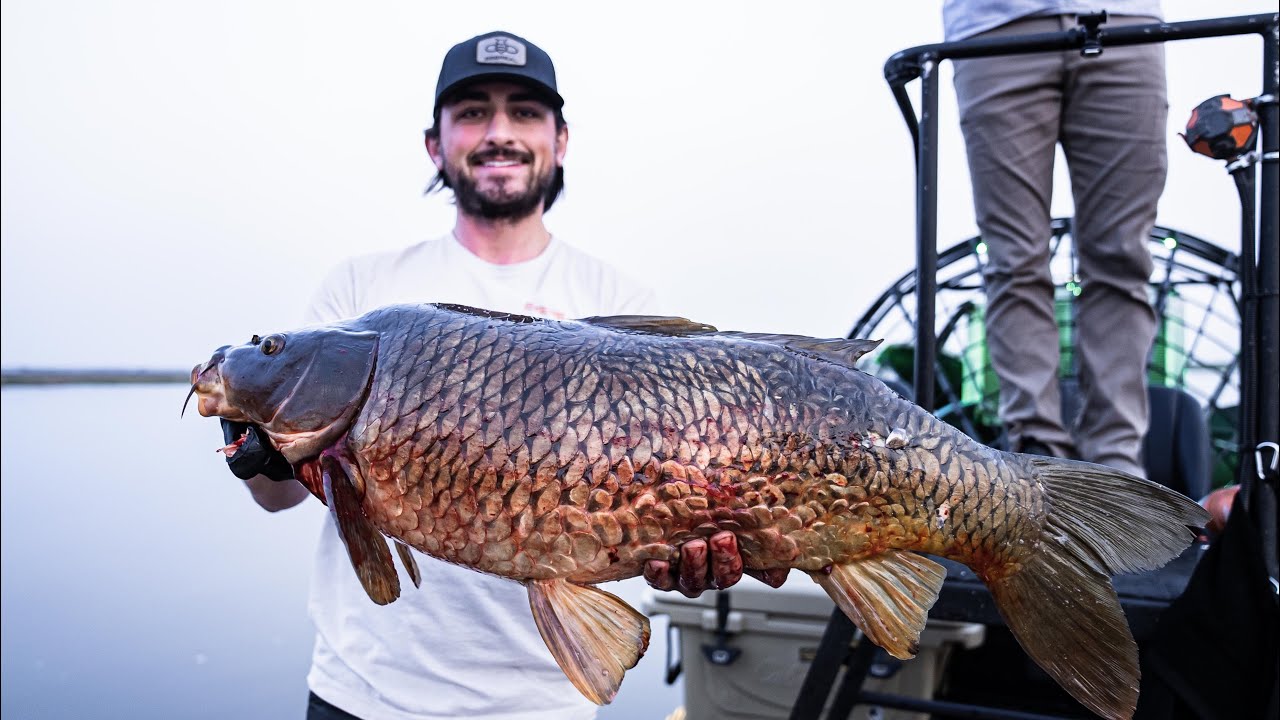GIANT CARP bowfishing with @UnGuided Outdoors
