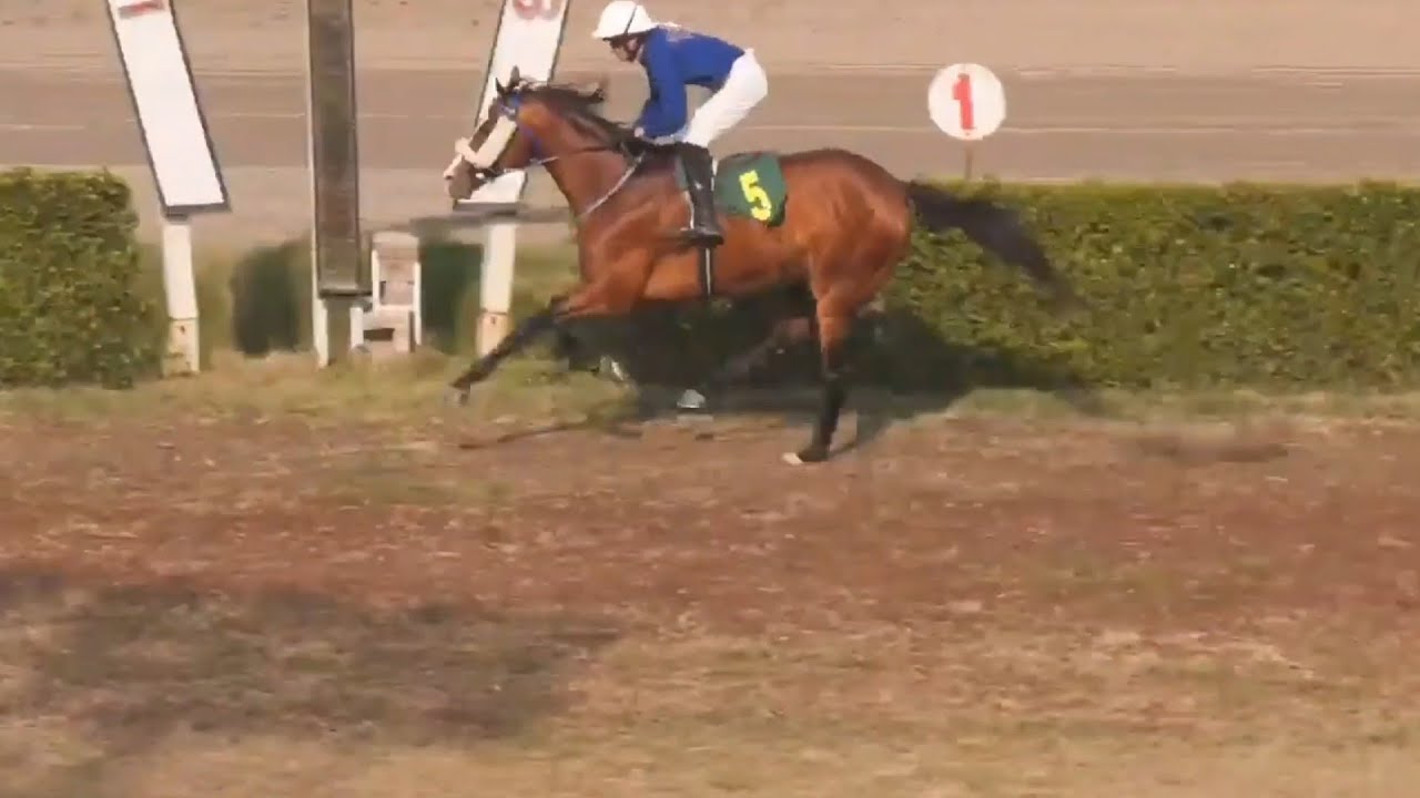 4th Race 1400 Mtr Stewards Cup Winner Jupiter Ridden By Jockey Awais Anjum Trained By Rashid Lateef