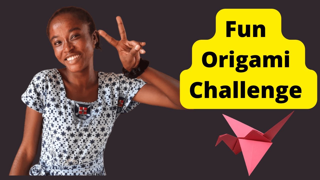Fun Origami Challenge -  #17