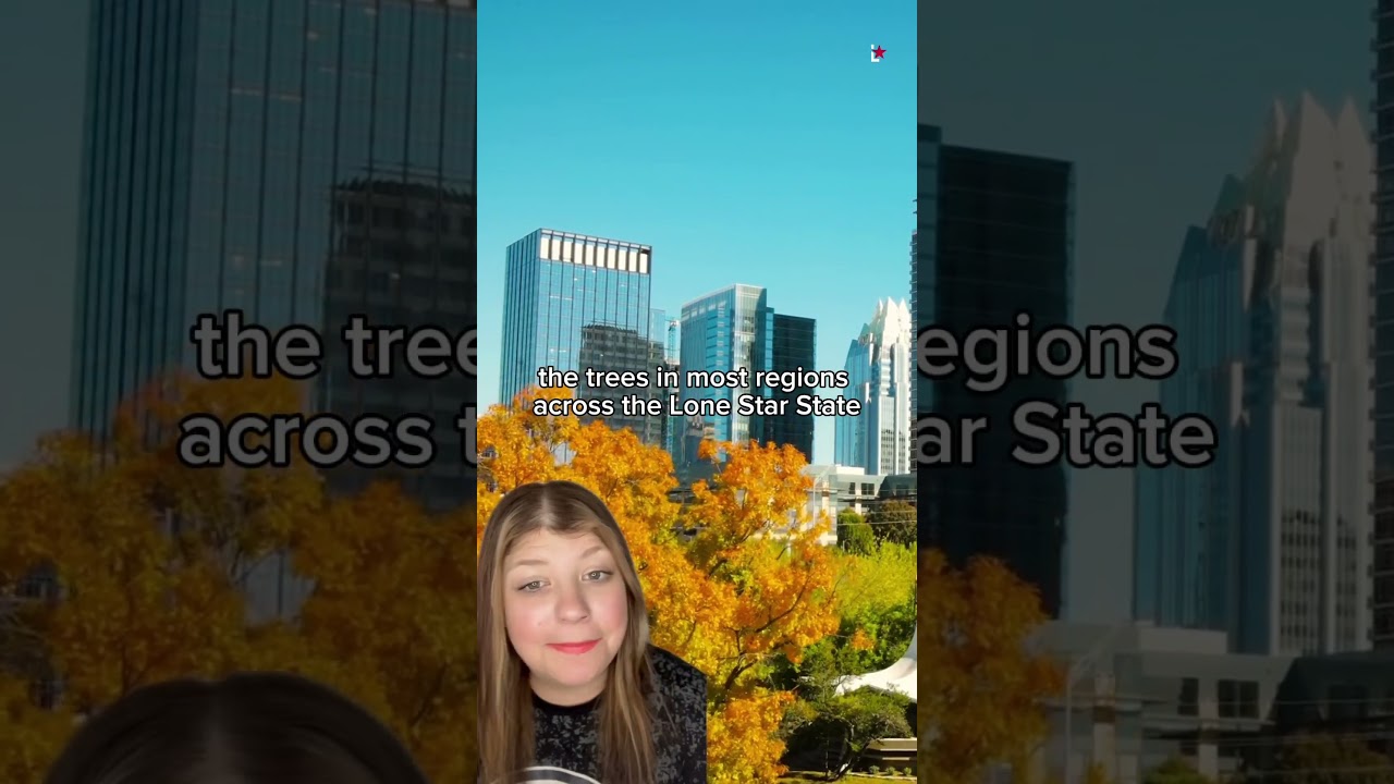 Where to see fall foliage in Texas? 🍂 