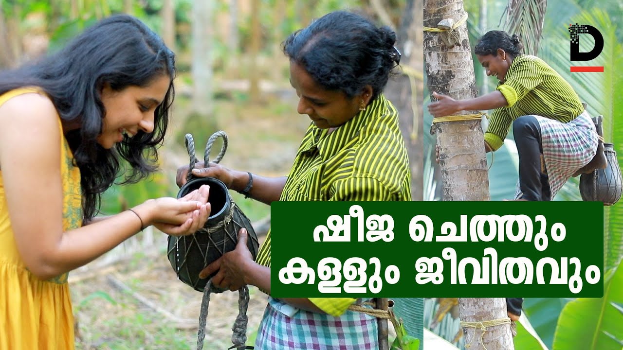 ഷീജ ചെത്തും കള്ളും ജീവിതവും | KERALA'S FIRST WOMEN TODDY TAPPER