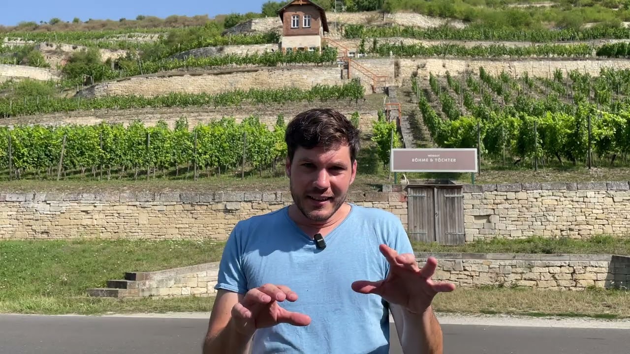 Tasting 1,368 Grape Varieties: M&uuml;ller-Thurgau, a Common German Variety and Export Hit