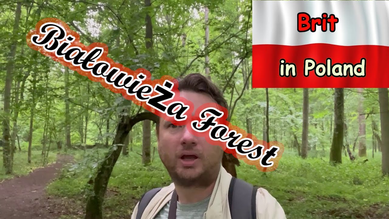 Białowieża Forest - The oldest forest in Europe!