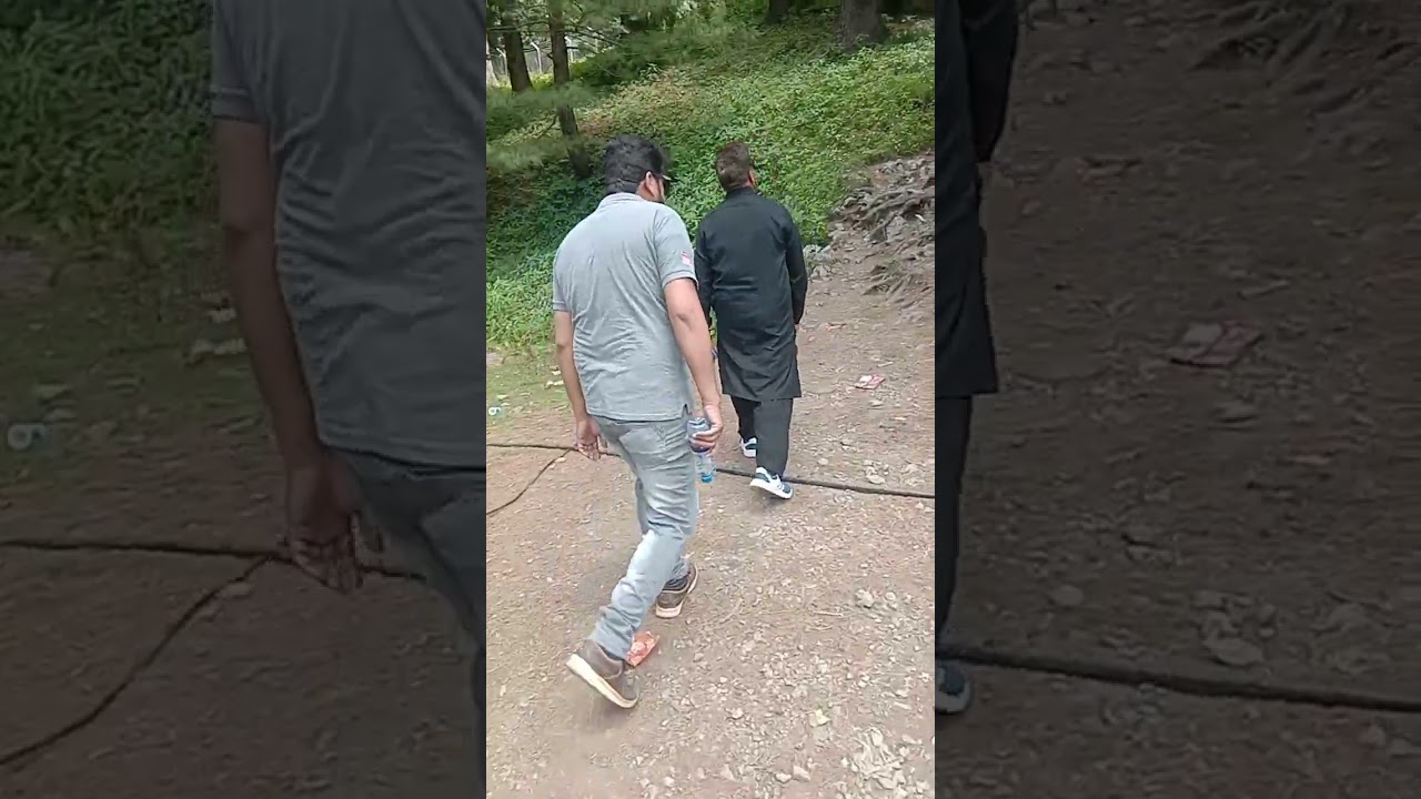 Murree Nathiya Gali Tour | Dunga Gali Pipeline Track | Travel Pakistan#murree #2023 #schooltrip