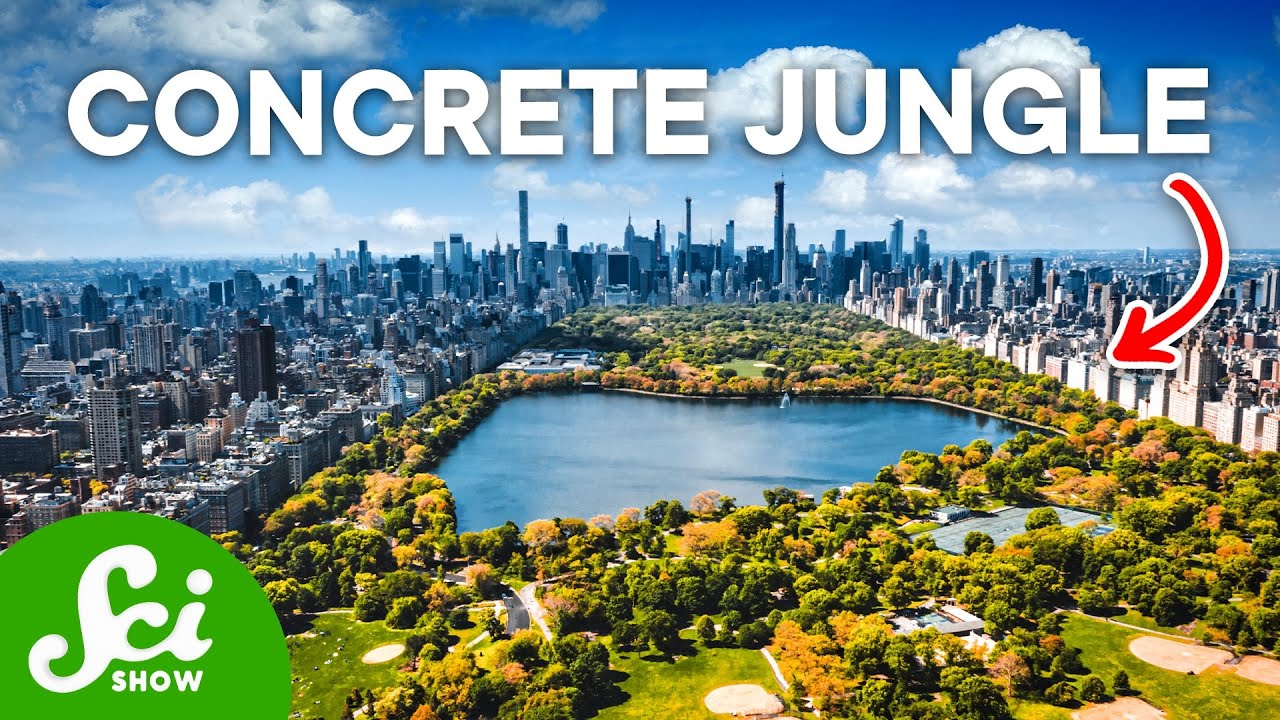 7 Animal Species Discovered in Urban Cities