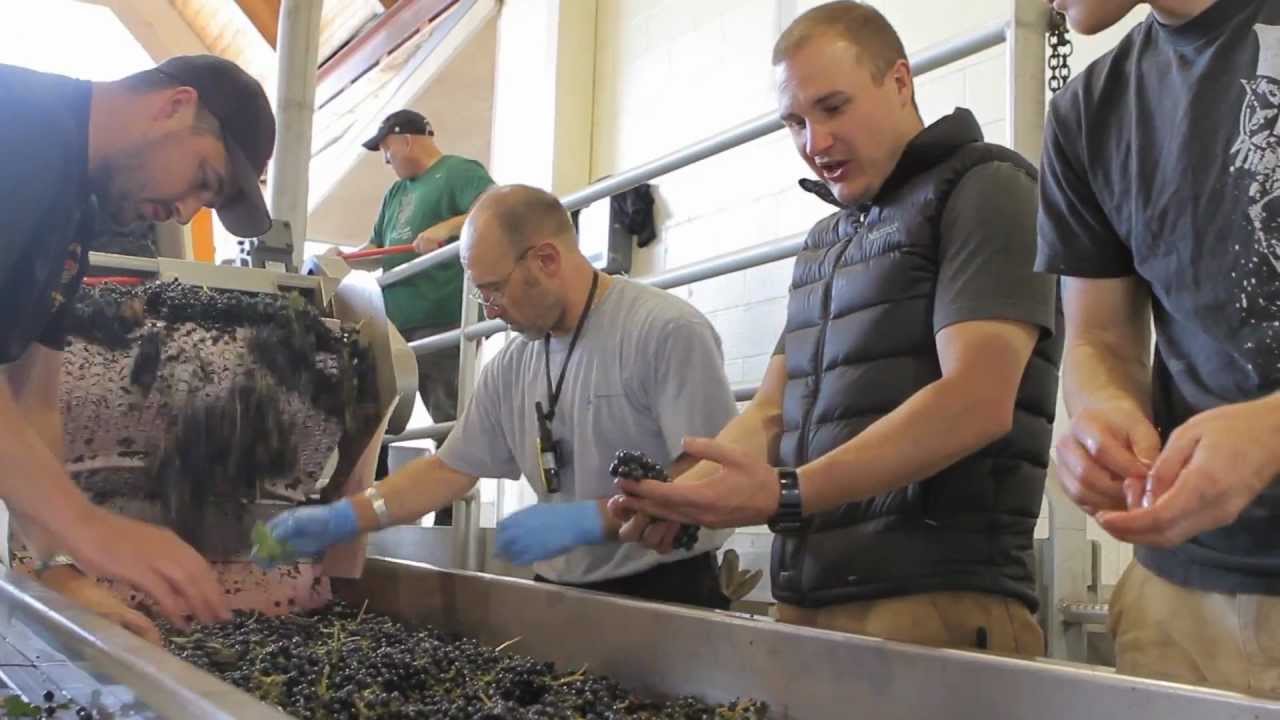Buy Oregon: A Message From Oregon's Fine Beverage Producers (2 Minute Version)