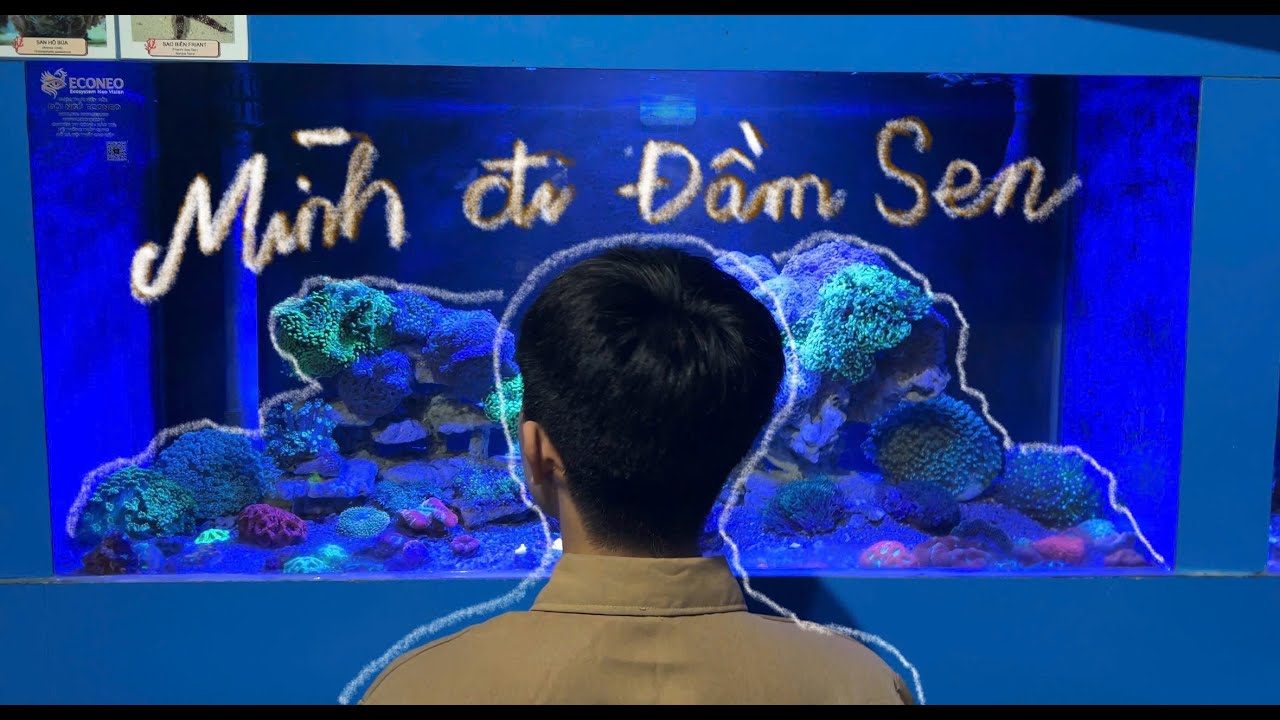 người lớn đi chơi mấy trò của con nít | vlog.