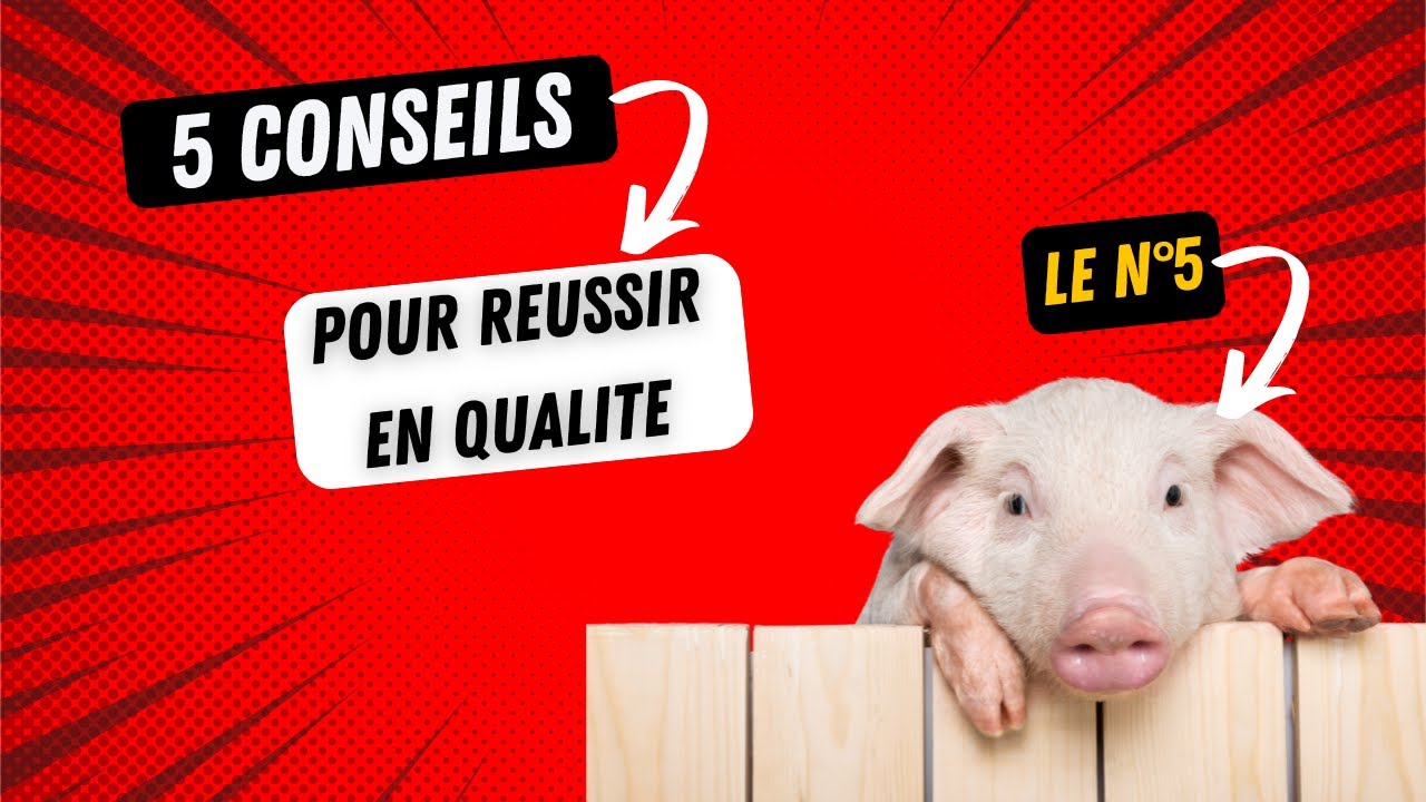 TOP 5 des conseils pour r&eacute;ussir en qualit&eacute; dans l'industrie pharmaceutique