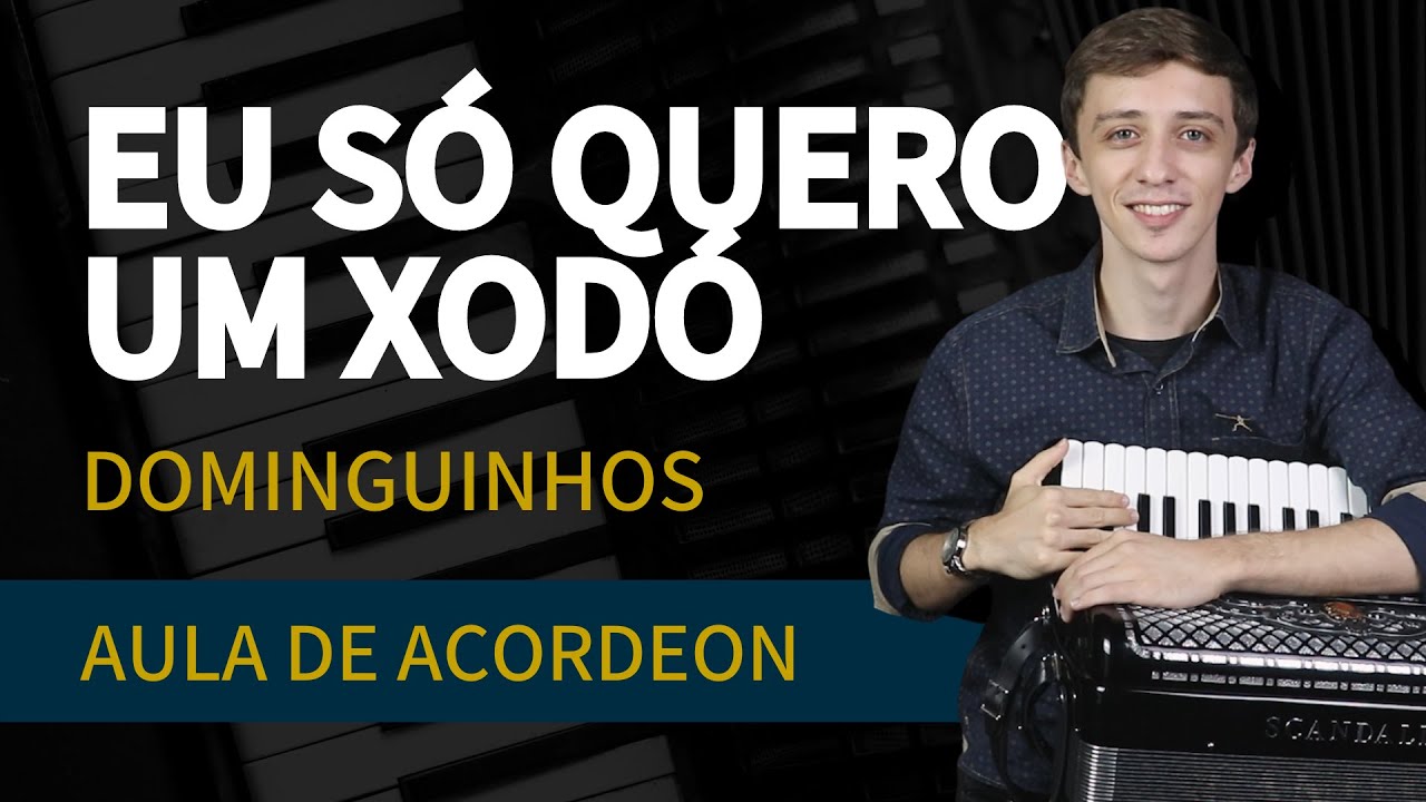 Eu só quero um Xodó - Dominguinhos (Versão para Iniciantes) | Aula de Acordeon