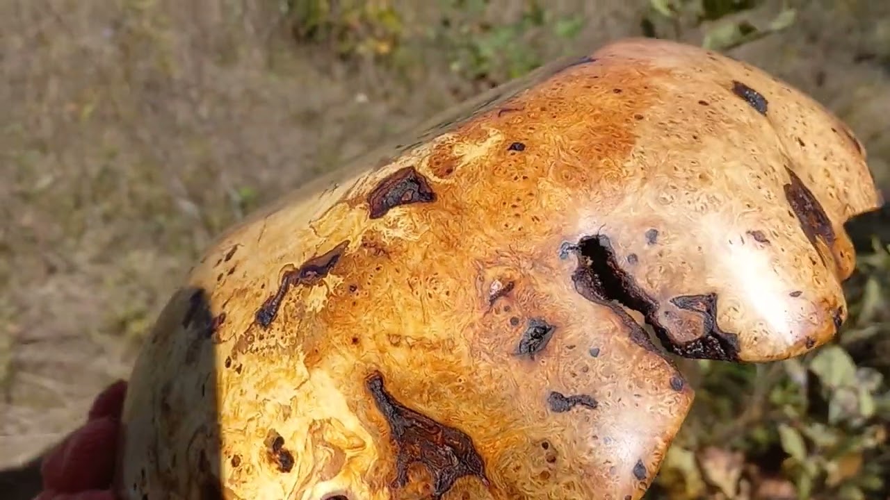 Граб , кап , шпальт