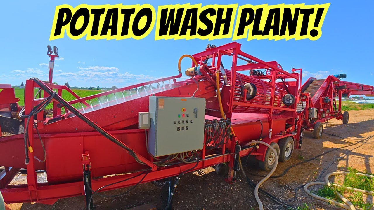 Rotten Potatoes?! Here Comes the Wash Plant (Again)