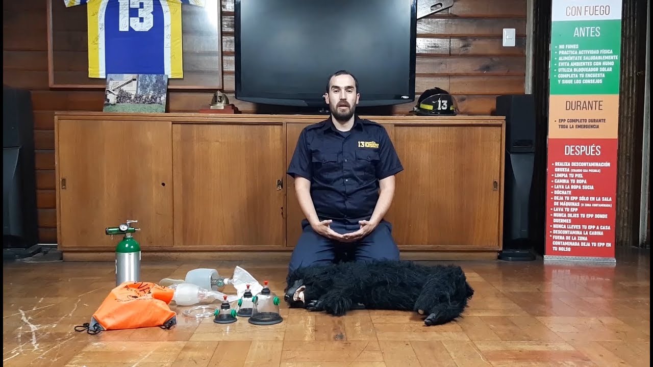 ¿Sabes cómo hacer maniobras de reanimación cardiopulmonar en perros?