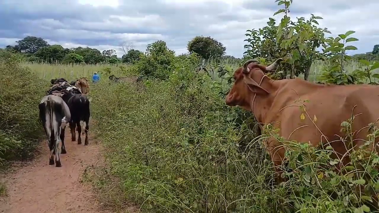 LUGAR MUITO ACONCHEGANTE