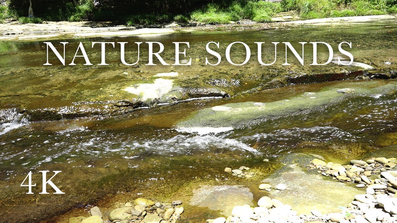 深い眠りのための養老渓谷のせせらぎ｜2時間 癒やしの自然音 ASMR | Relaxing River Sounds for Deep Sleep[ 4K JAPAN ]